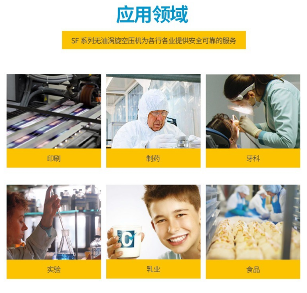 阿特拉斯口罩机专用无油空压机SF
